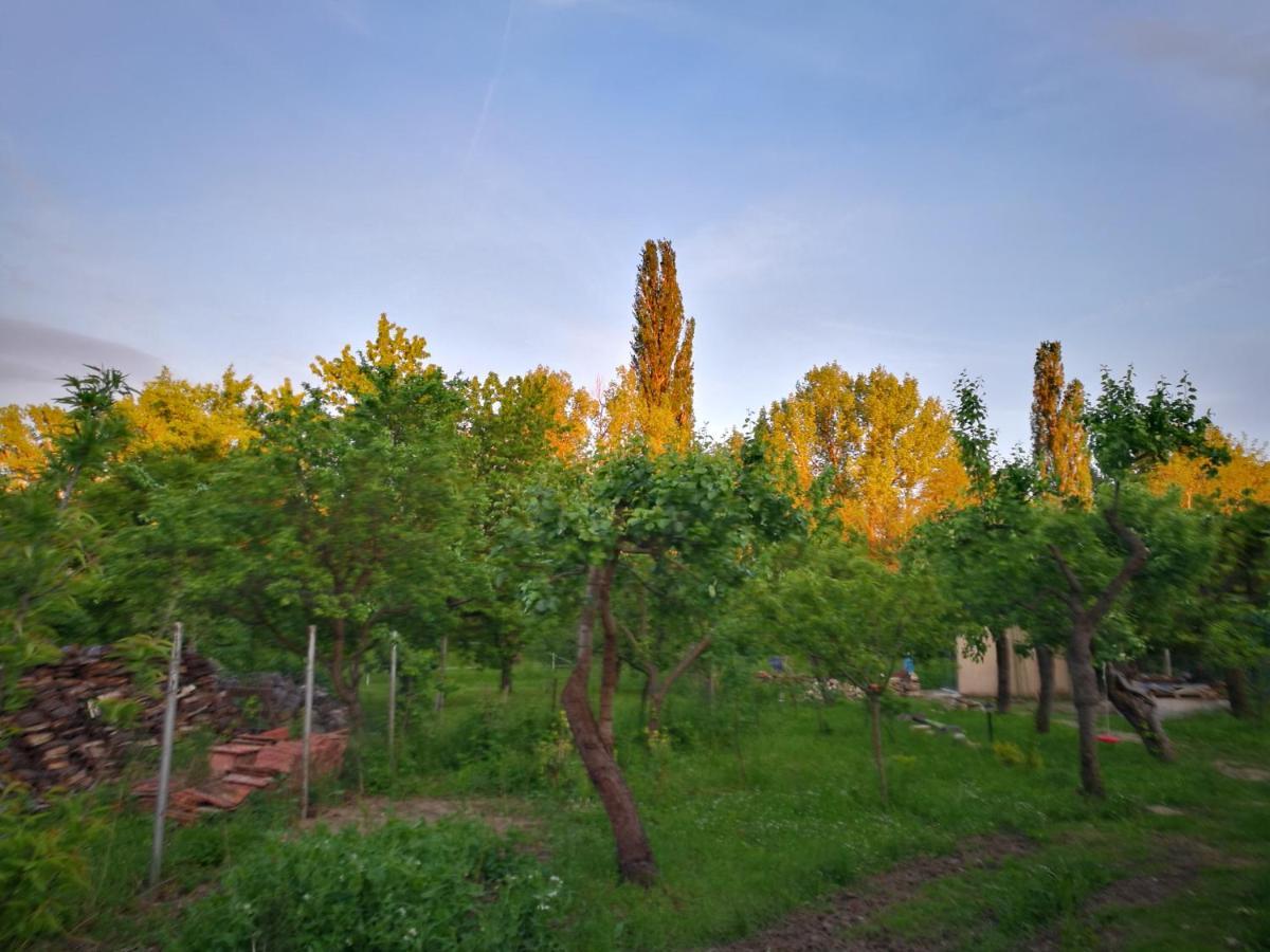 Patak Apartman, Diszel Tapolca Bagian luar foto