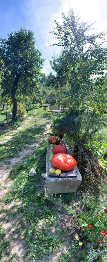 Patak Apartman, Diszel Tapolca Bagian luar foto