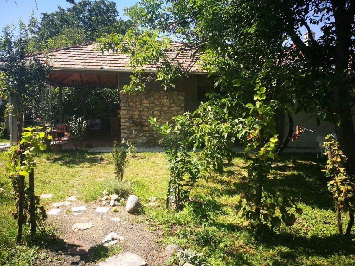Patak Apartman, Diszel Tapolca Bagian luar foto