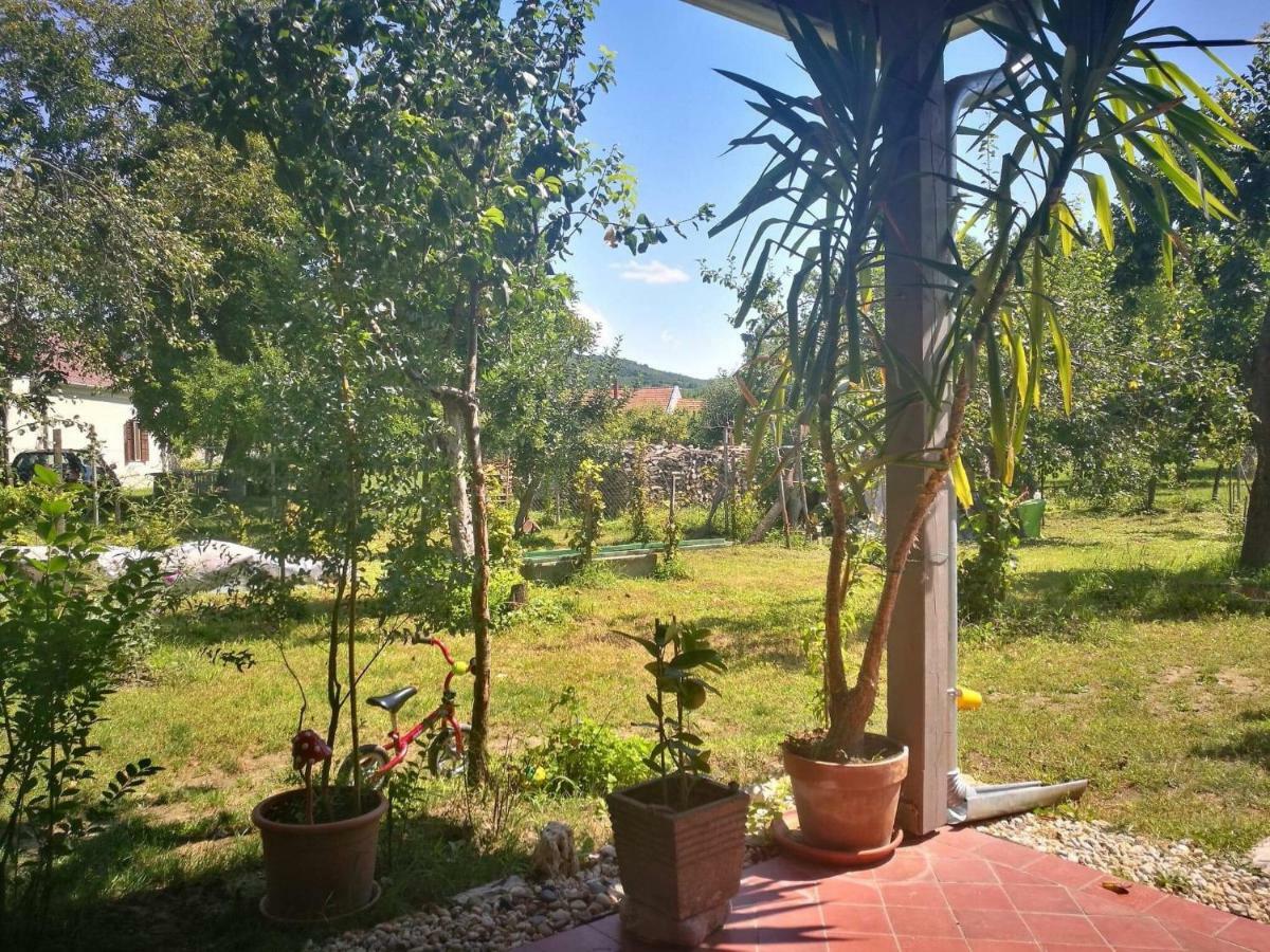 Patak Apartman, Diszel Tapolca Bagian luar foto